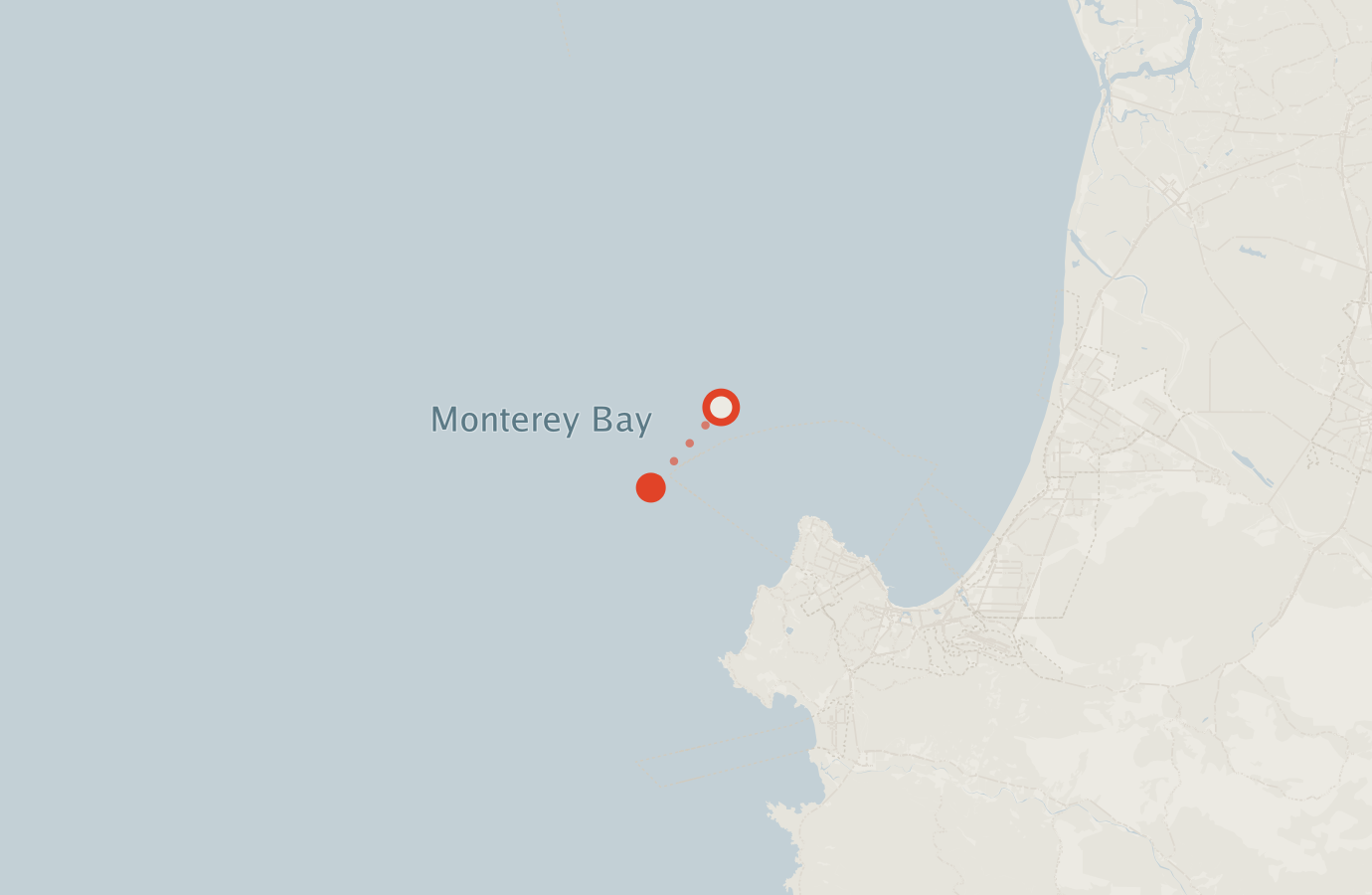 Activity map — real sighting points on an OpenStreetMap basemap