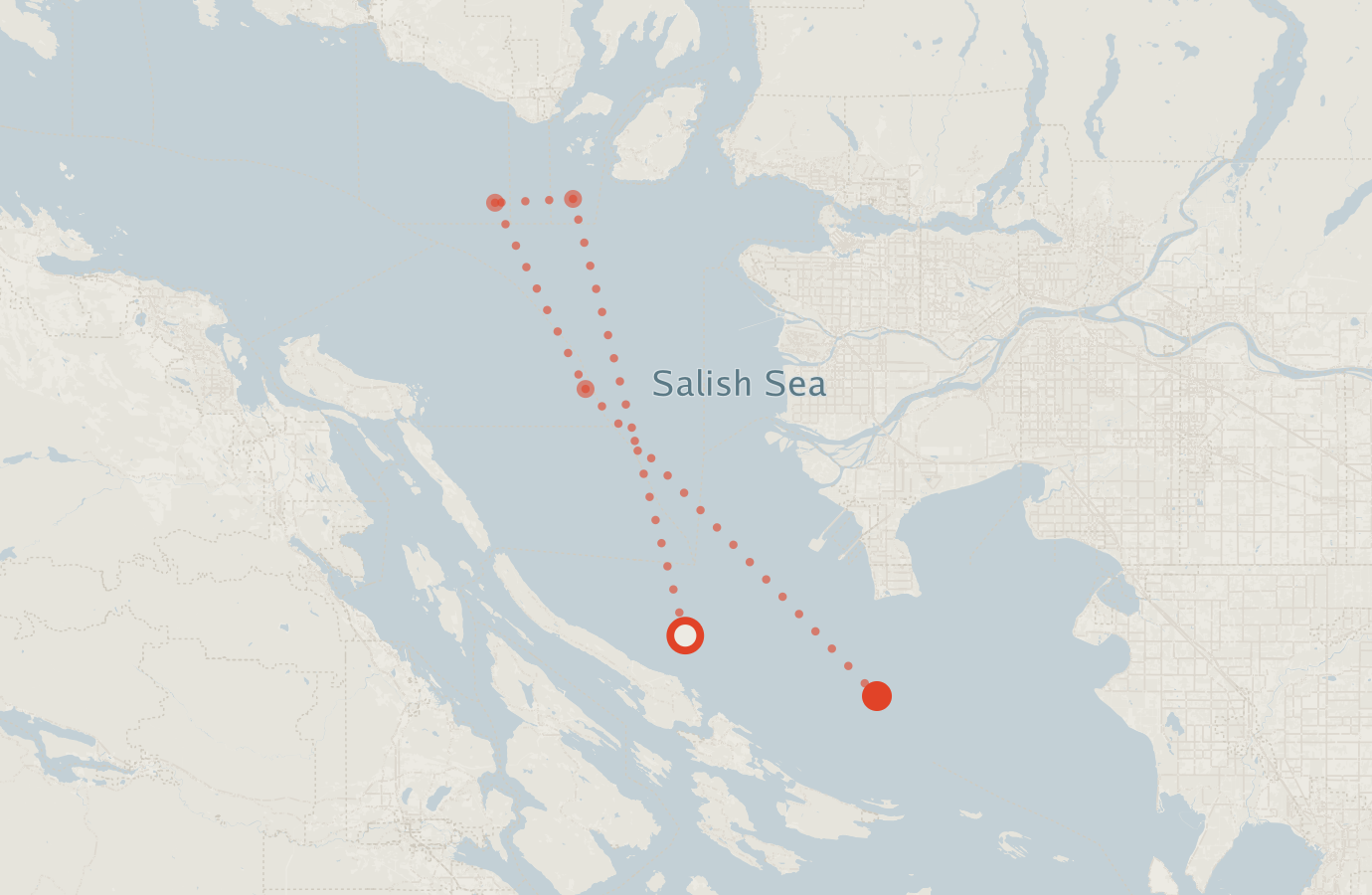 Activity map — real sighting points on an OpenStreetMap basemap