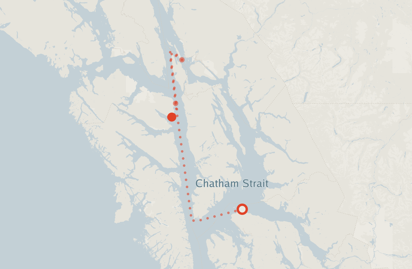 Activity map — real sighting points on an OpenStreetMap basemap