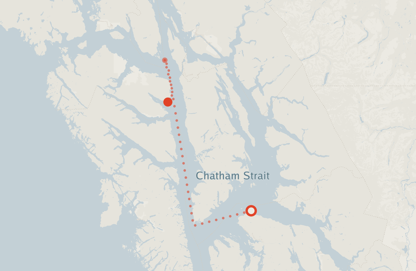 Activity map — real sighting points on an OpenStreetMap basemap
