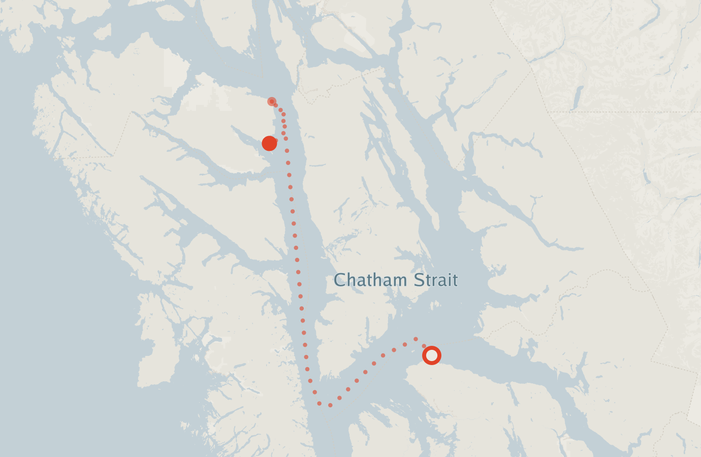 Activity map — real sighting points on an OpenStreetMap basemap