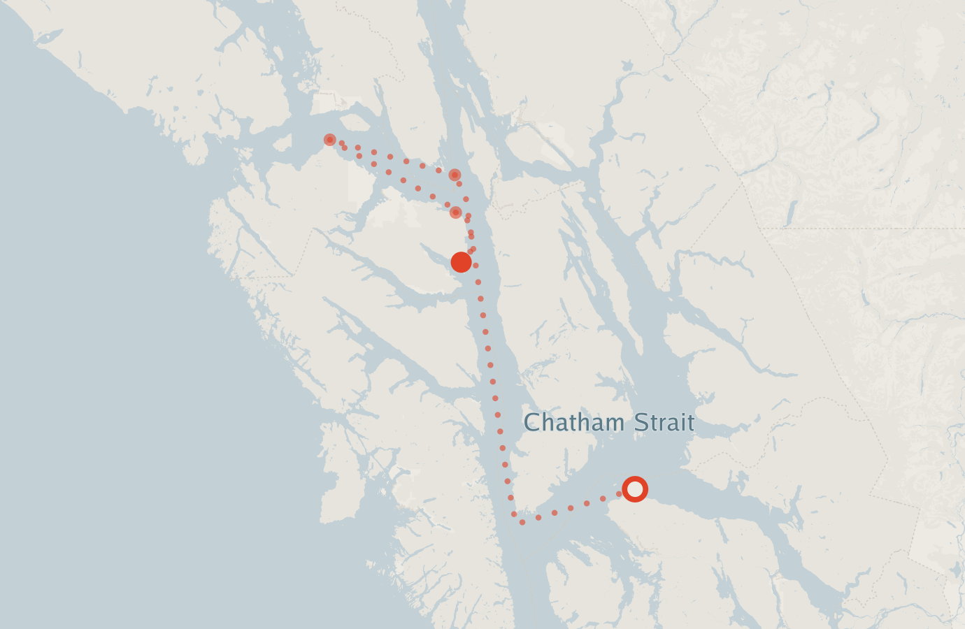 Activity map — real sighting points on an OpenStreetMap basemap