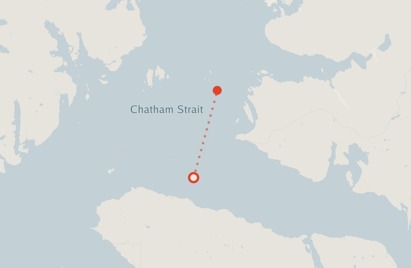 Activity map — real sighting points on an OpenStreetMap basemap
