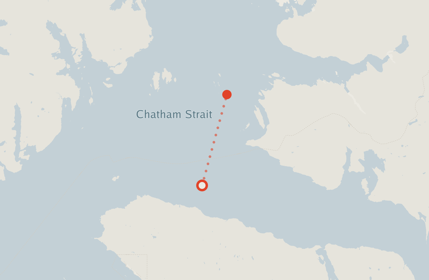 Activity map — real sighting points on an OpenStreetMap basemap