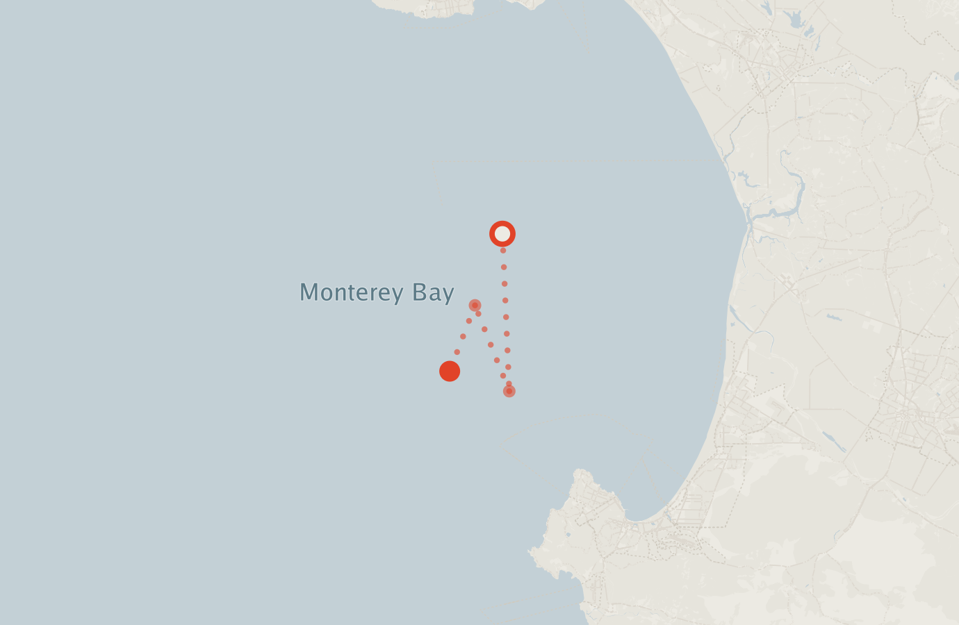 Activity map — real sighting points on an OpenStreetMap basemap