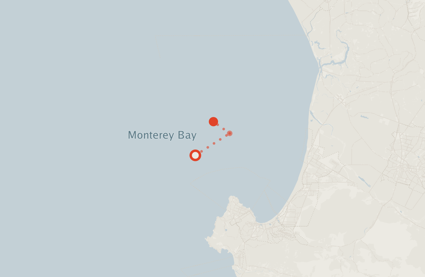 Activity map — real sighting points on an OpenStreetMap basemap
