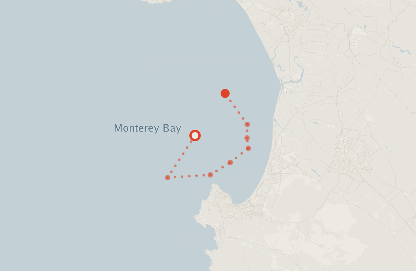 Activity map — real sighting points on an OpenStreetMap basemap