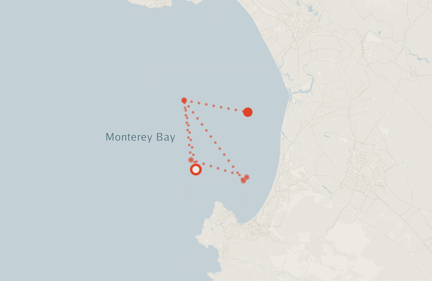 Activity map — real sighting points on an OpenStreetMap basemap