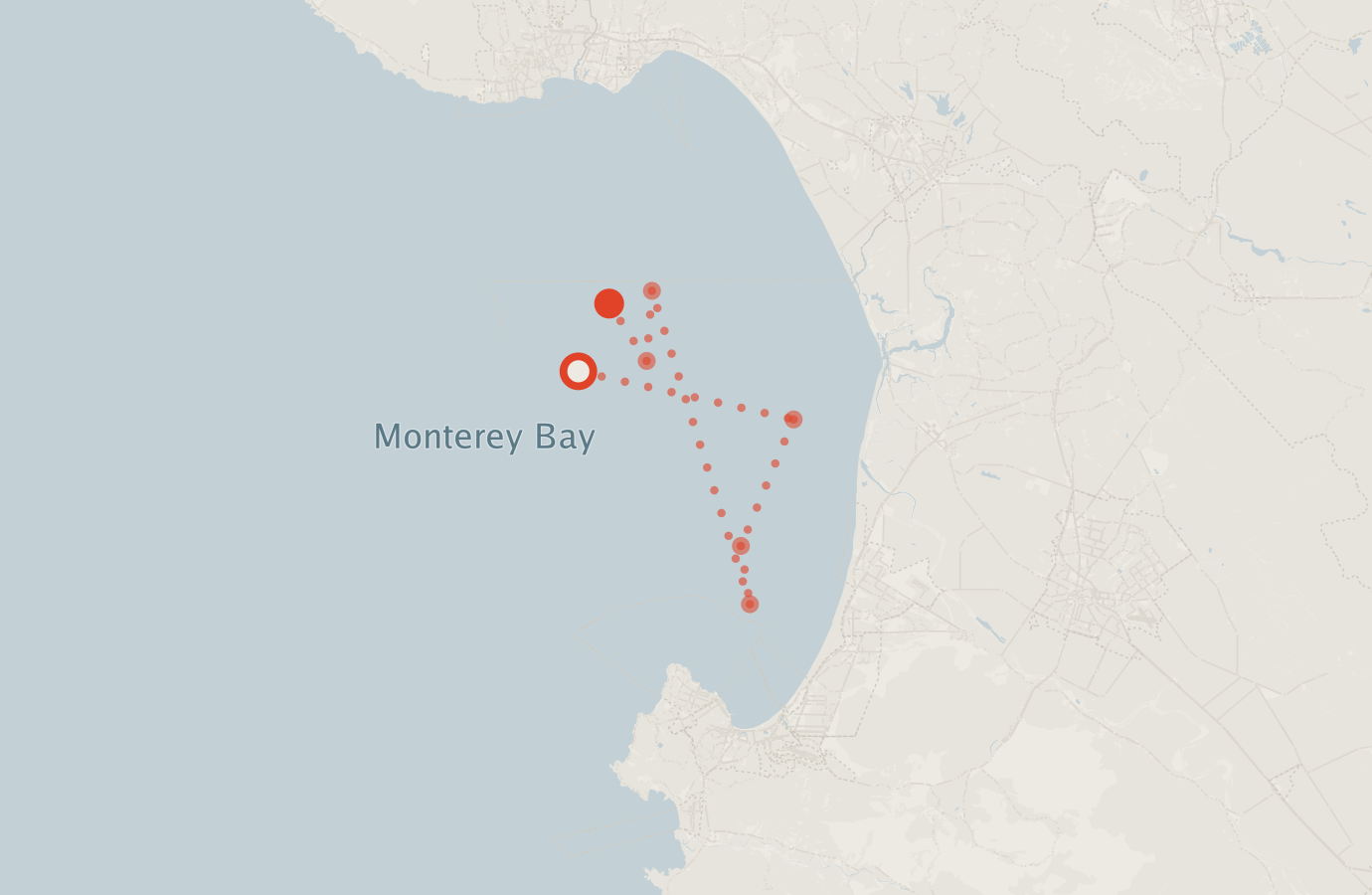 Activity map — real sighting points on an OpenStreetMap basemap