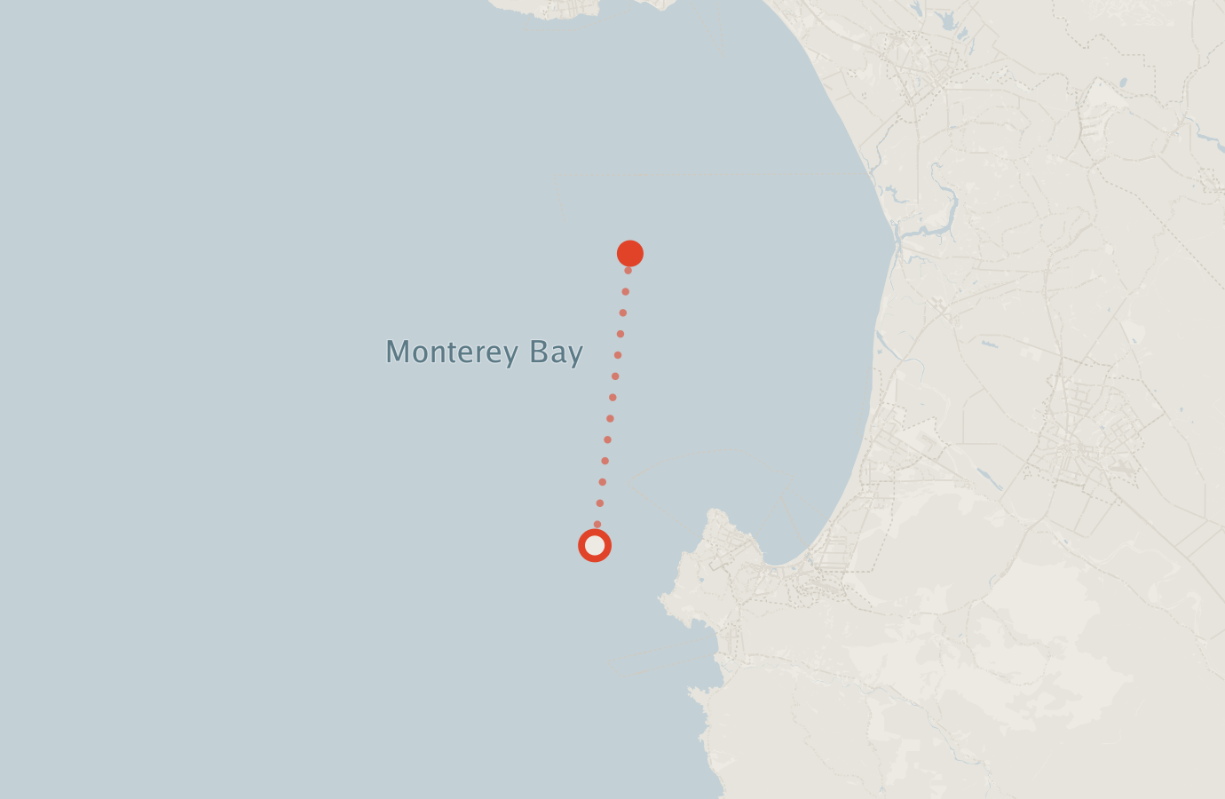 Activity map — real sighting points on an OpenStreetMap basemap