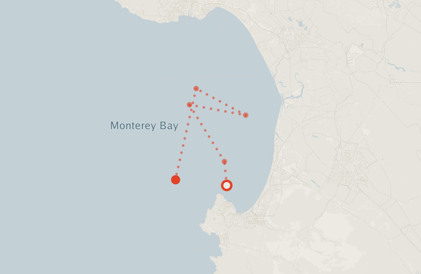 Activity map — real sighting points on an OpenStreetMap basemap