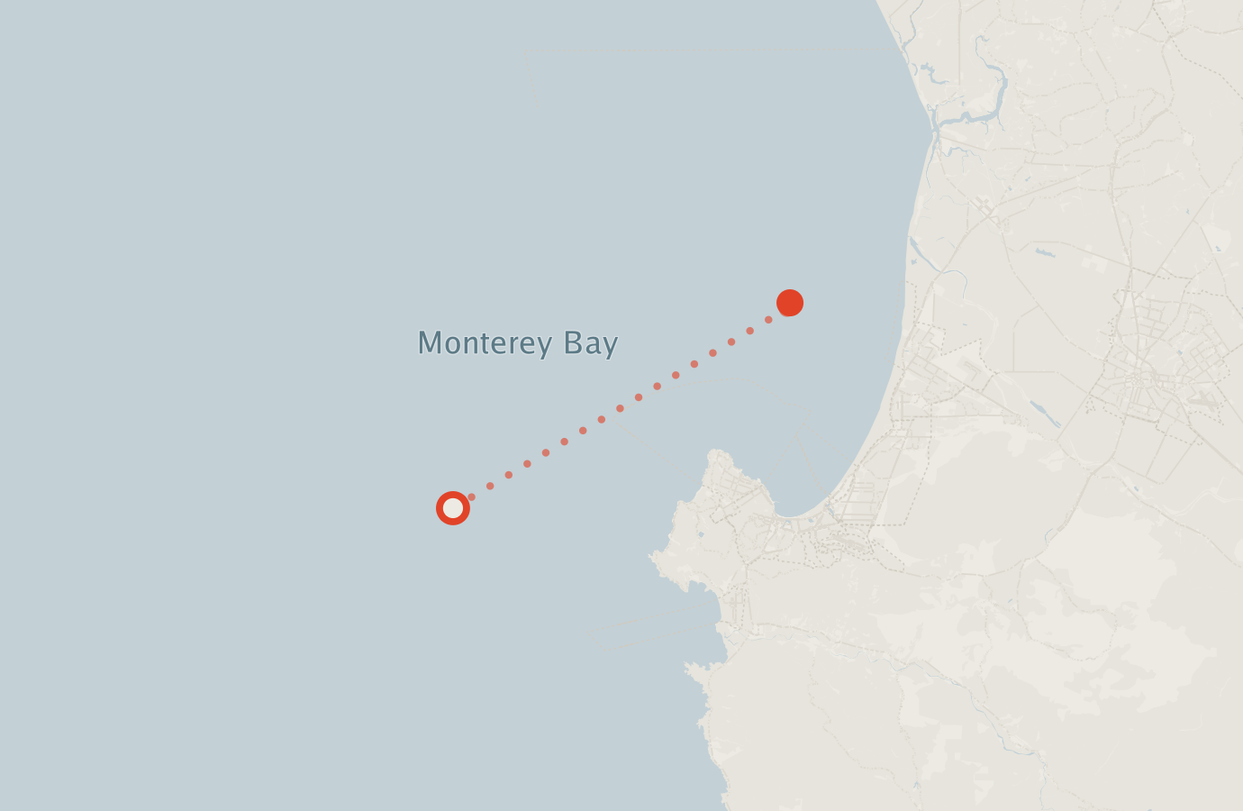 Activity map — real sighting points on an OpenStreetMap basemap