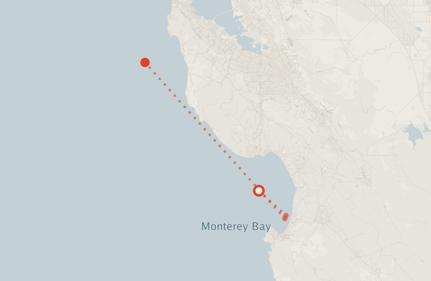 Activity map — real sighting points on an OpenStreetMap basemap