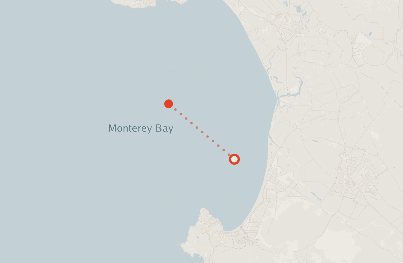 Activity map — real sighting points on an OpenStreetMap basemap