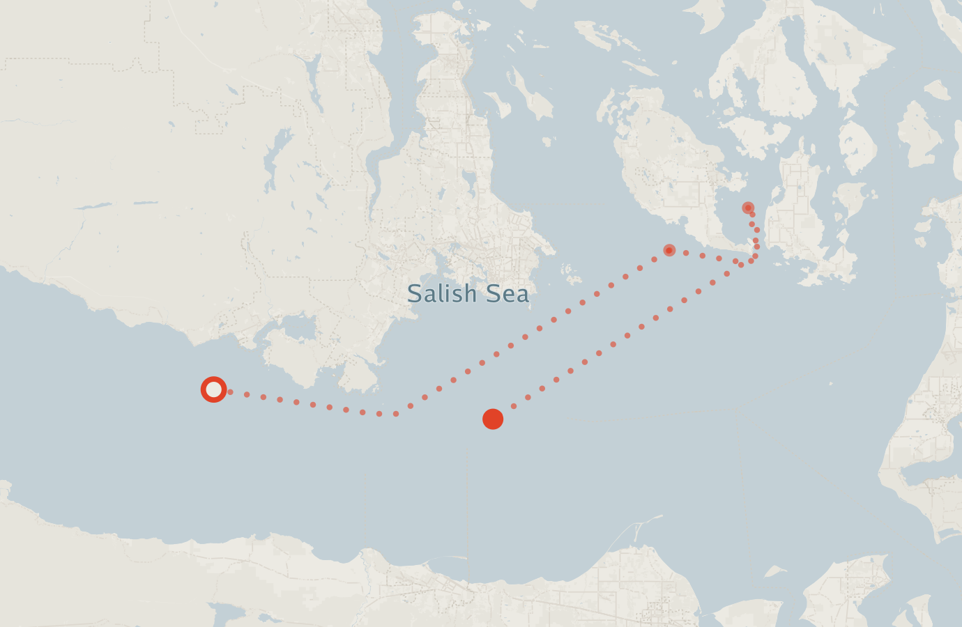 Activity map — real sighting points on an OpenStreetMap basemap