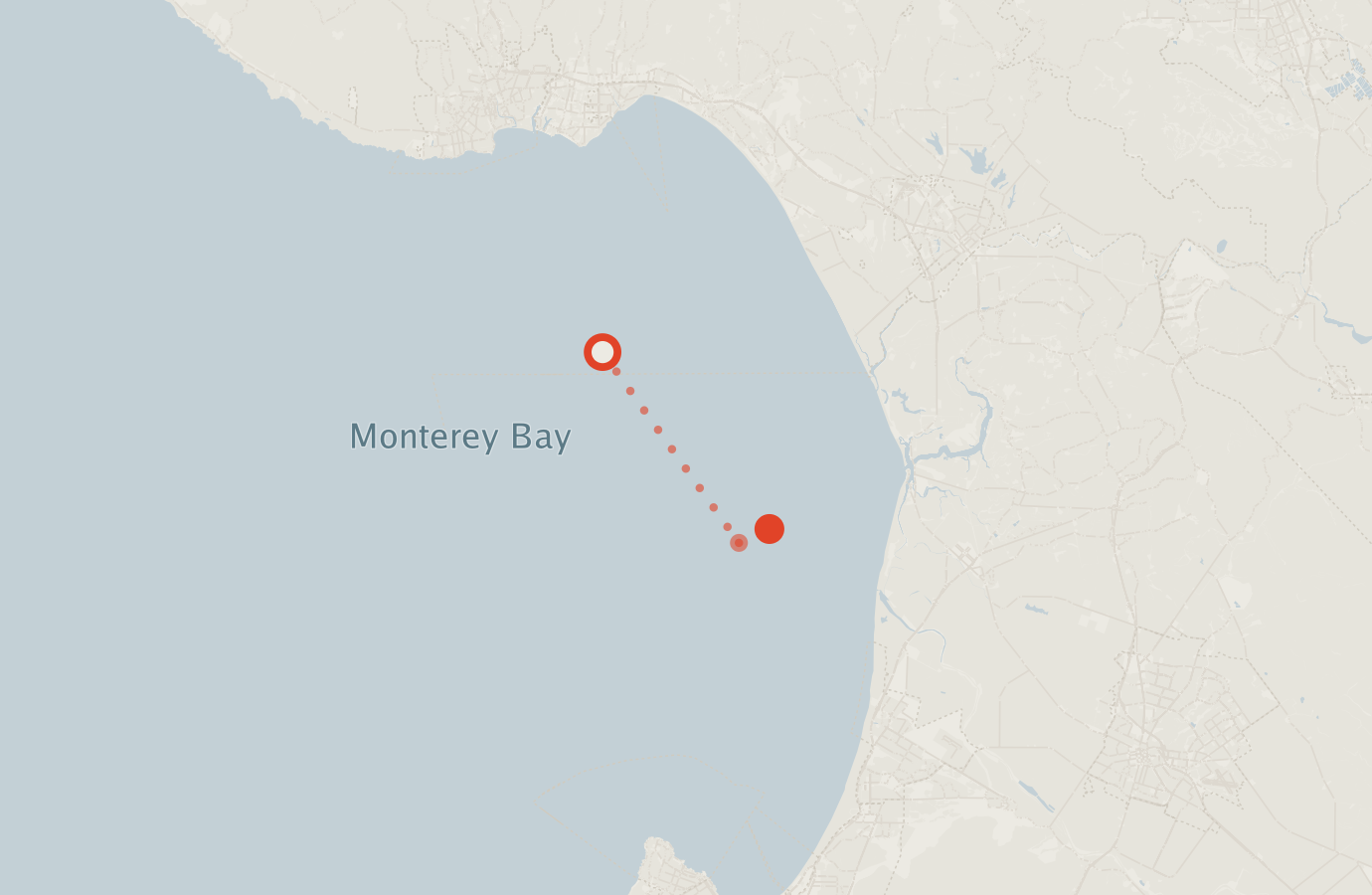 Activity map — real sighting points on an OpenStreetMap basemap