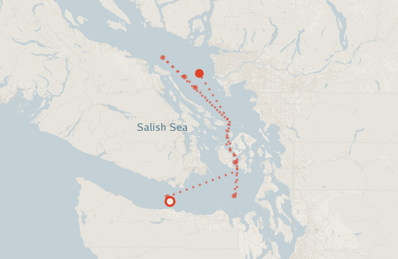 Activity map — real sighting points on an OpenStreetMap basemap