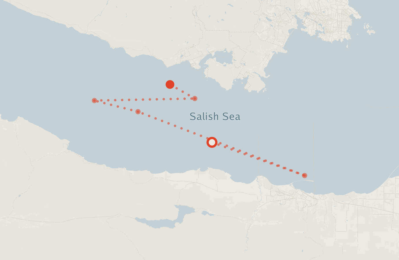 Activity map — real sighting points on an OpenStreetMap basemap