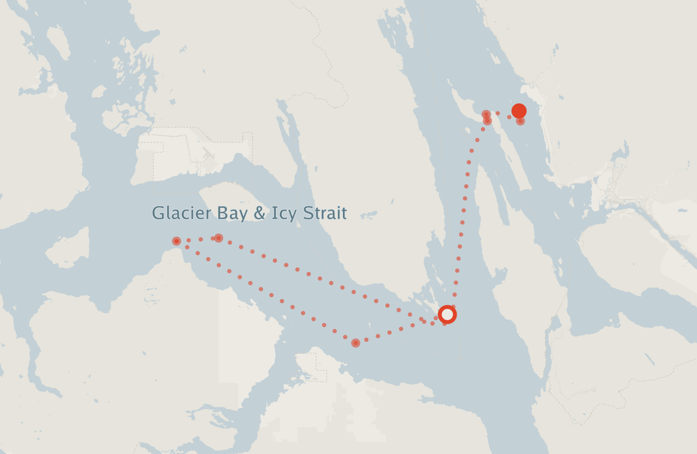 Activity map — real sighting points on an OpenStreetMap basemap