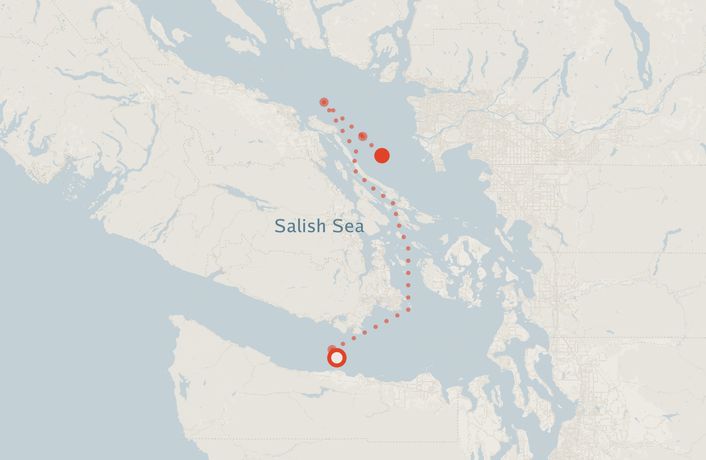 Activity map — real sighting points on an OpenStreetMap basemap
