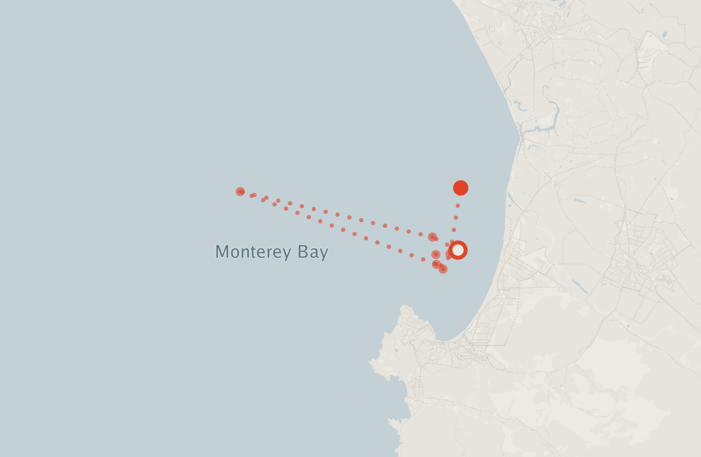 Activity map — real sighting points on an OpenStreetMap basemap