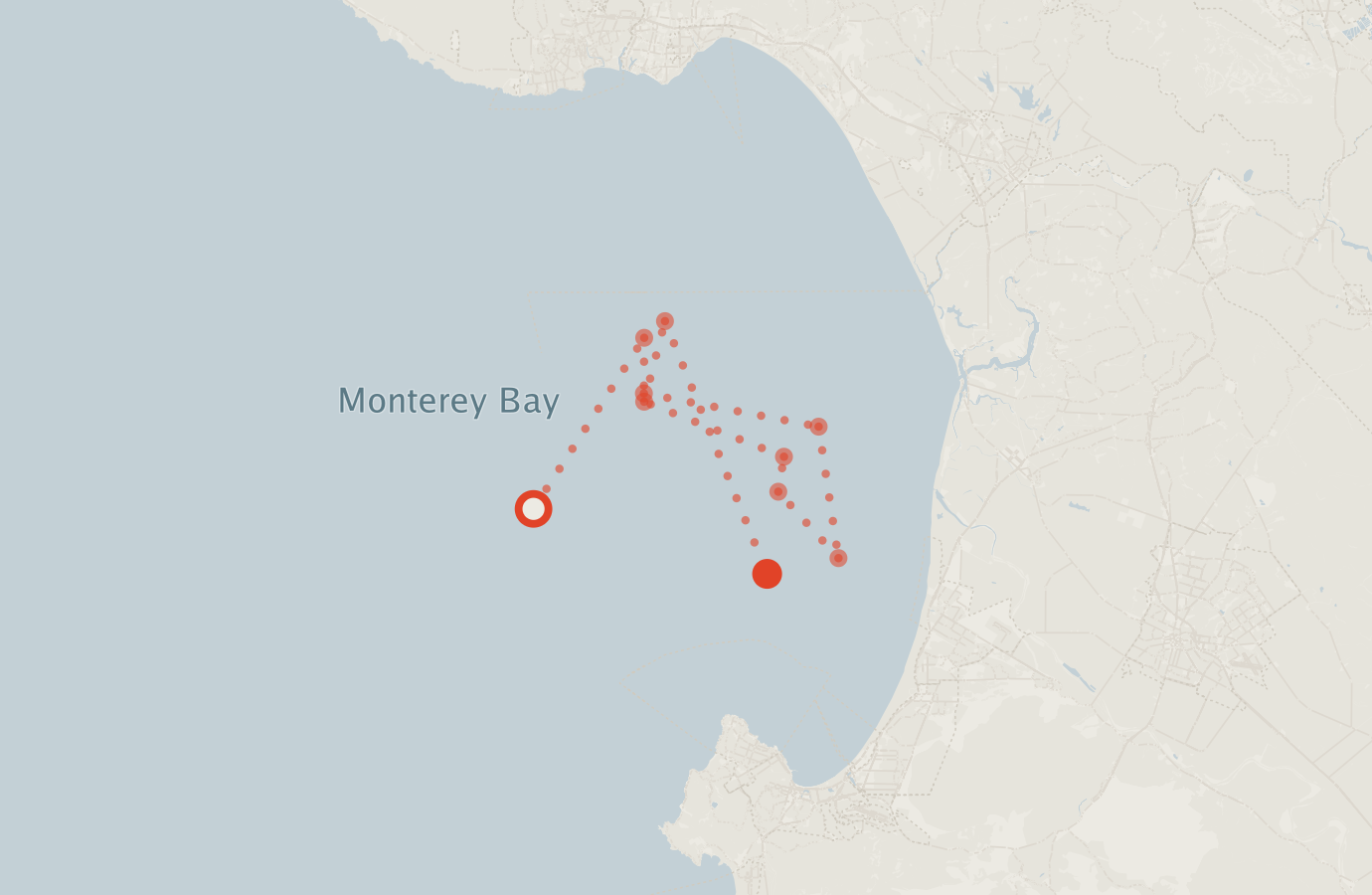 Activity map — real sighting points on an OpenStreetMap basemap