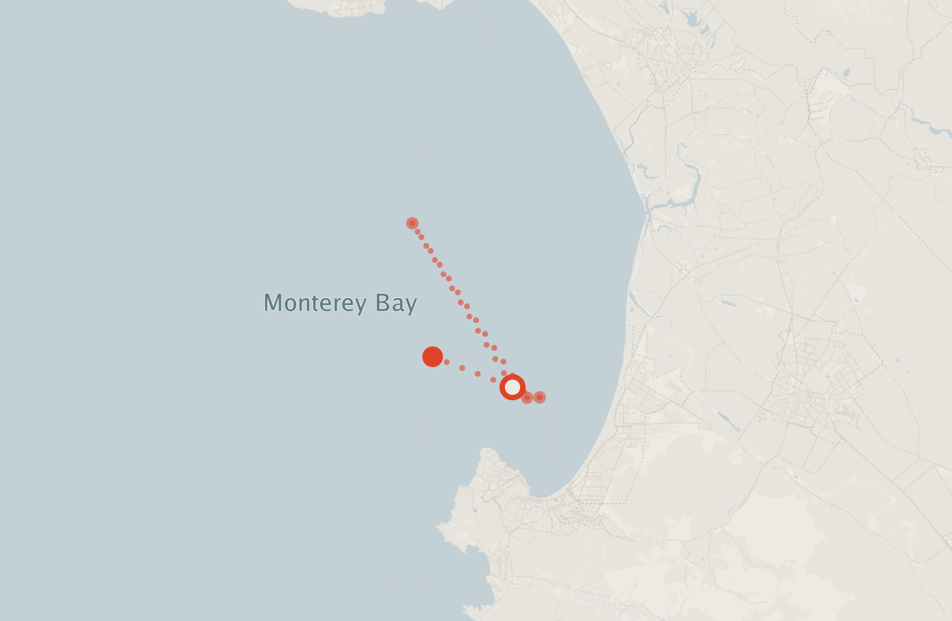 Activity map — real sighting points on an OpenStreetMap basemap