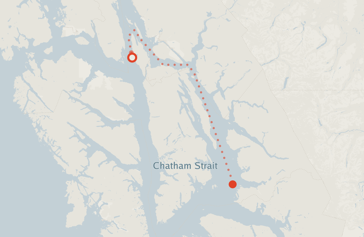 Activity map — real sighting points on an OpenStreetMap basemap