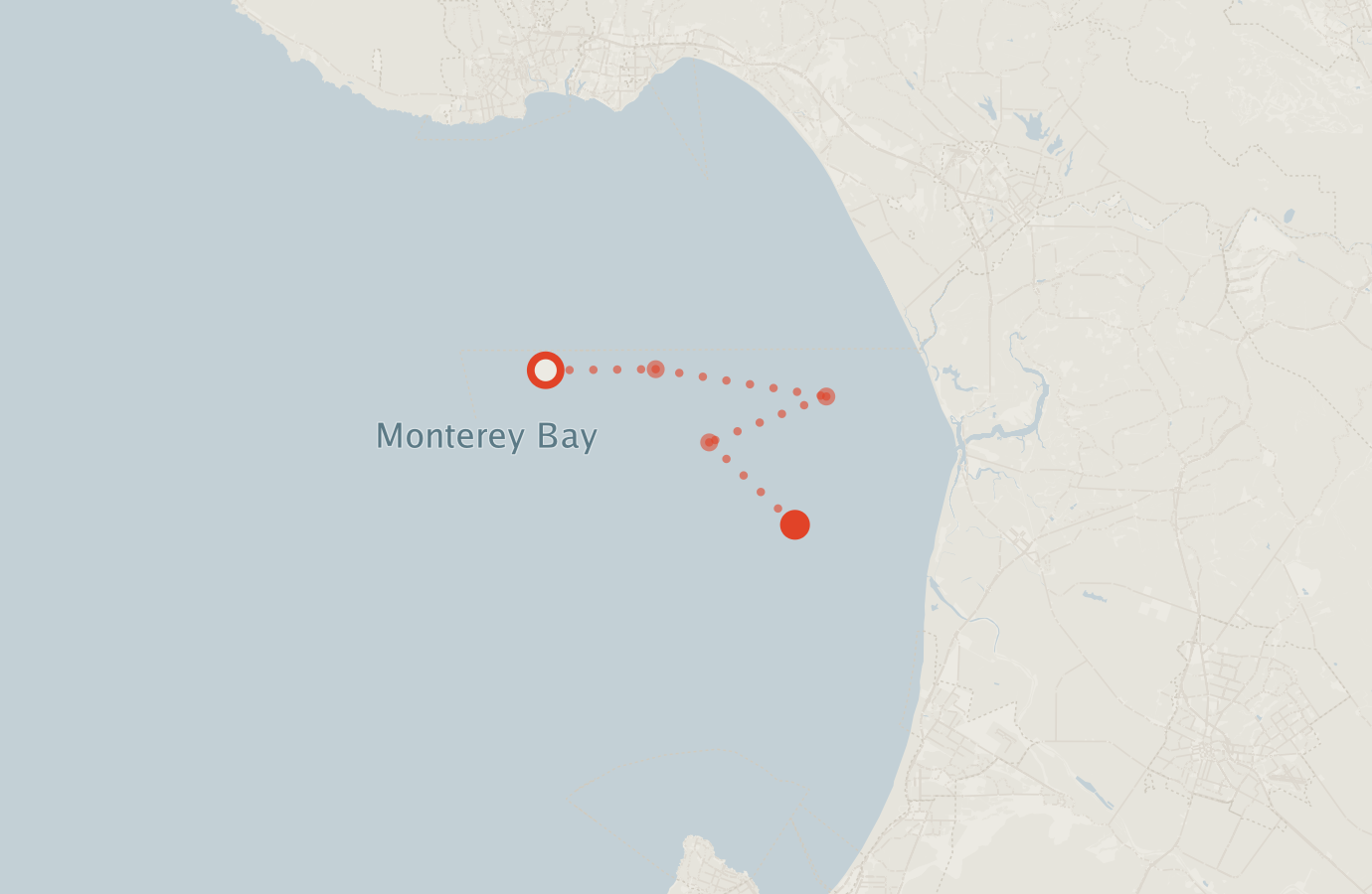 Activity map — real sighting points on an OpenStreetMap basemap