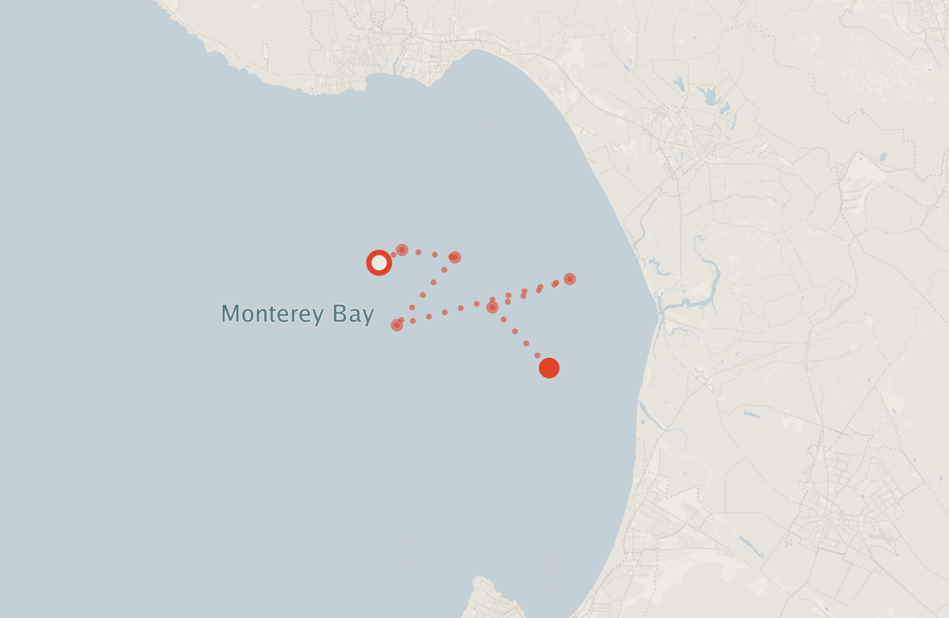 Activity map — real sighting points on an OpenStreetMap basemap