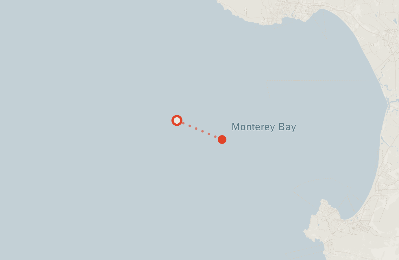 Activity map — real sighting points on an OpenStreetMap basemap