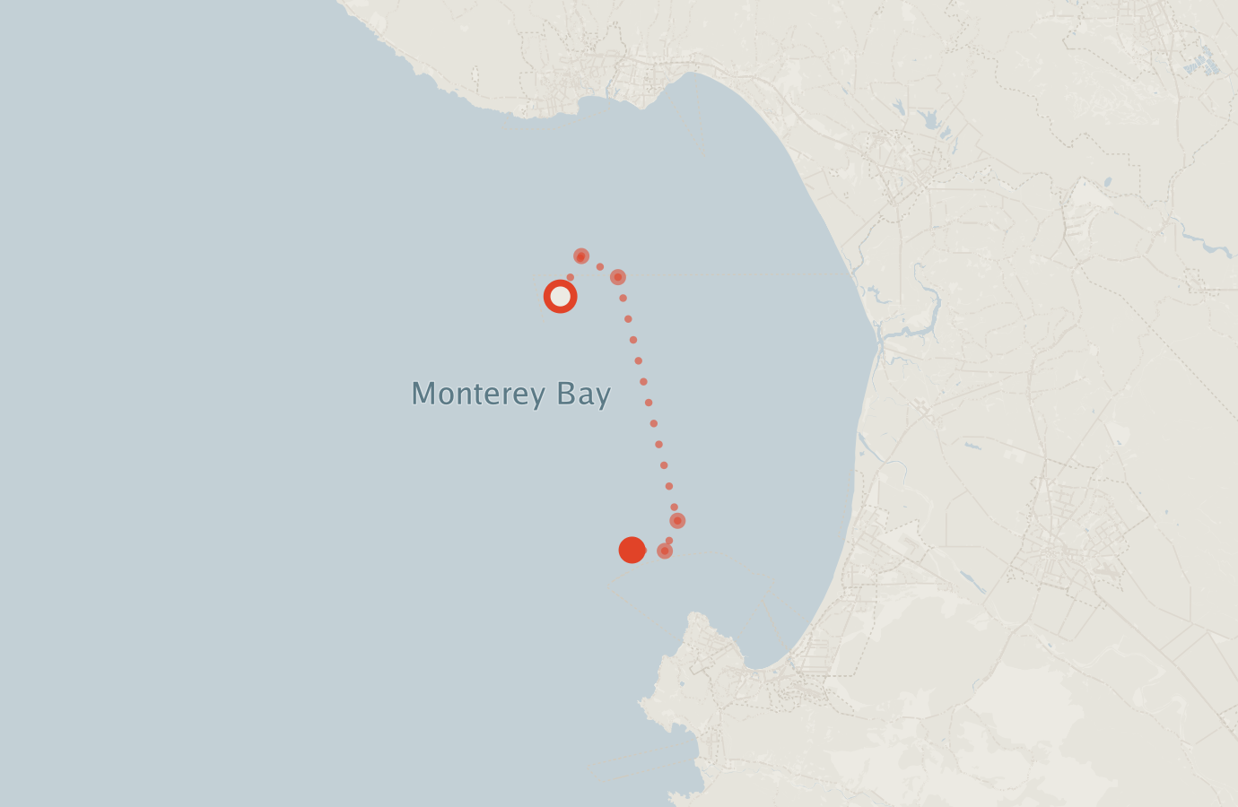 Activity map — real sighting points on an OpenStreetMap basemap