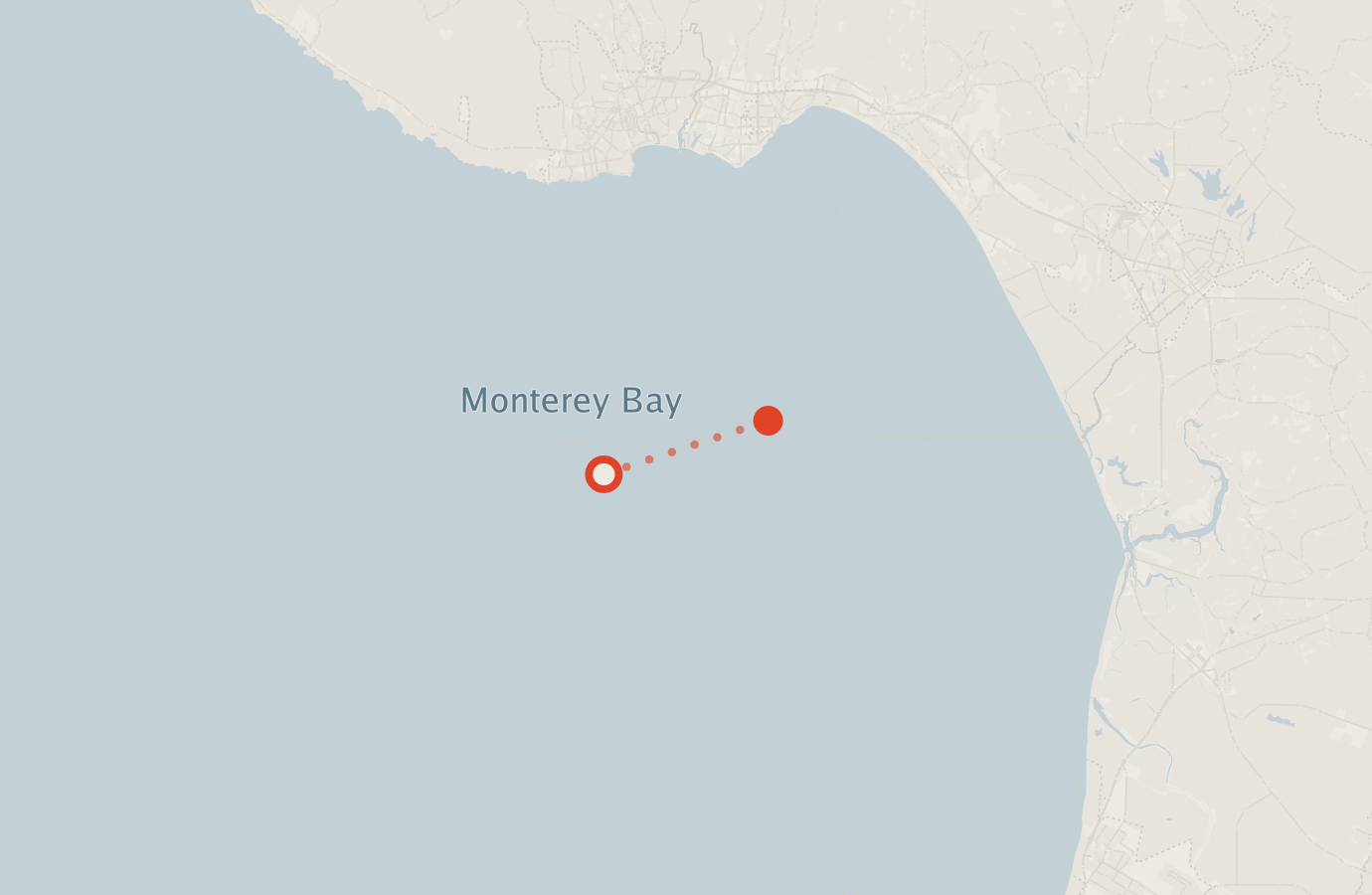 Activity map — real sighting points on an OpenStreetMap basemap