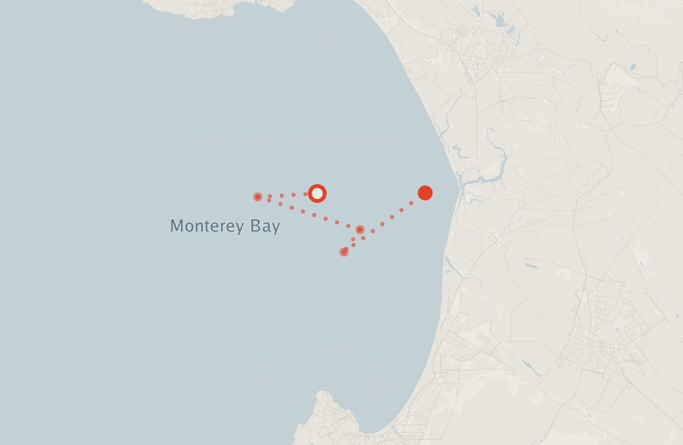 Activity map — real sighting points on an OpenStreetMap basemap
