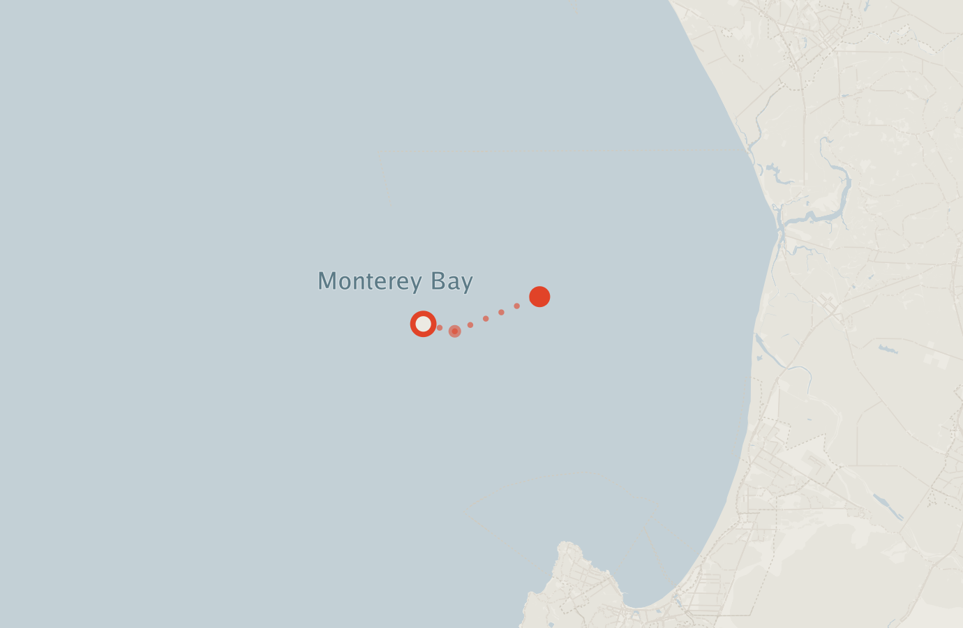 Activity map — real sighting points on an OpenStreetMap basemap