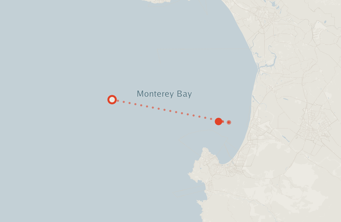 Activity map — real sighting points on an OpenStreetMap basemap