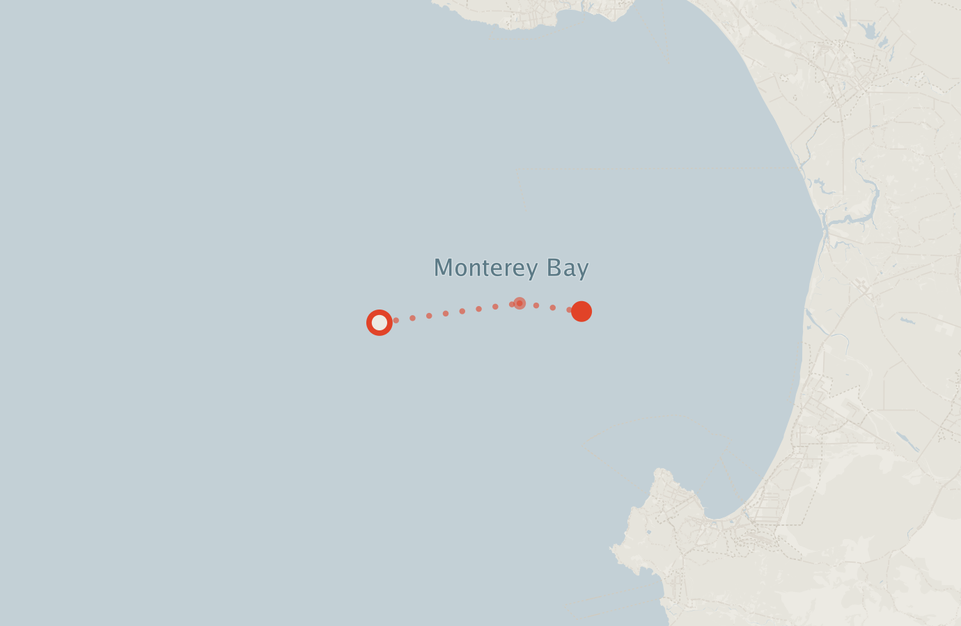 Activity map — real sighting points on an OpenStreetMap basemap