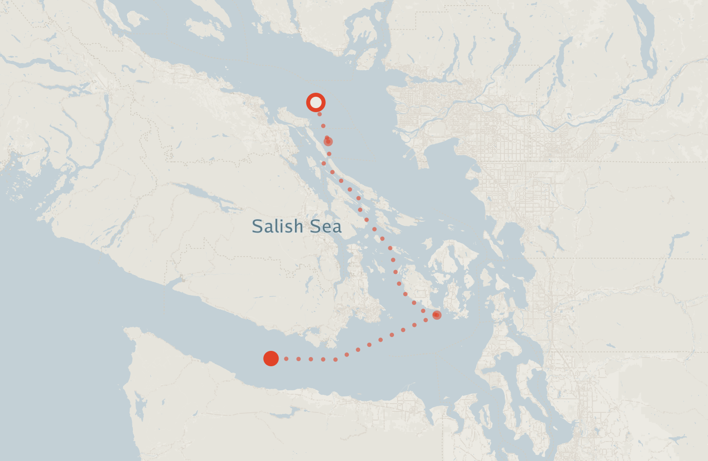 Activity map — real sighting points on an OpenStreetMap basemap