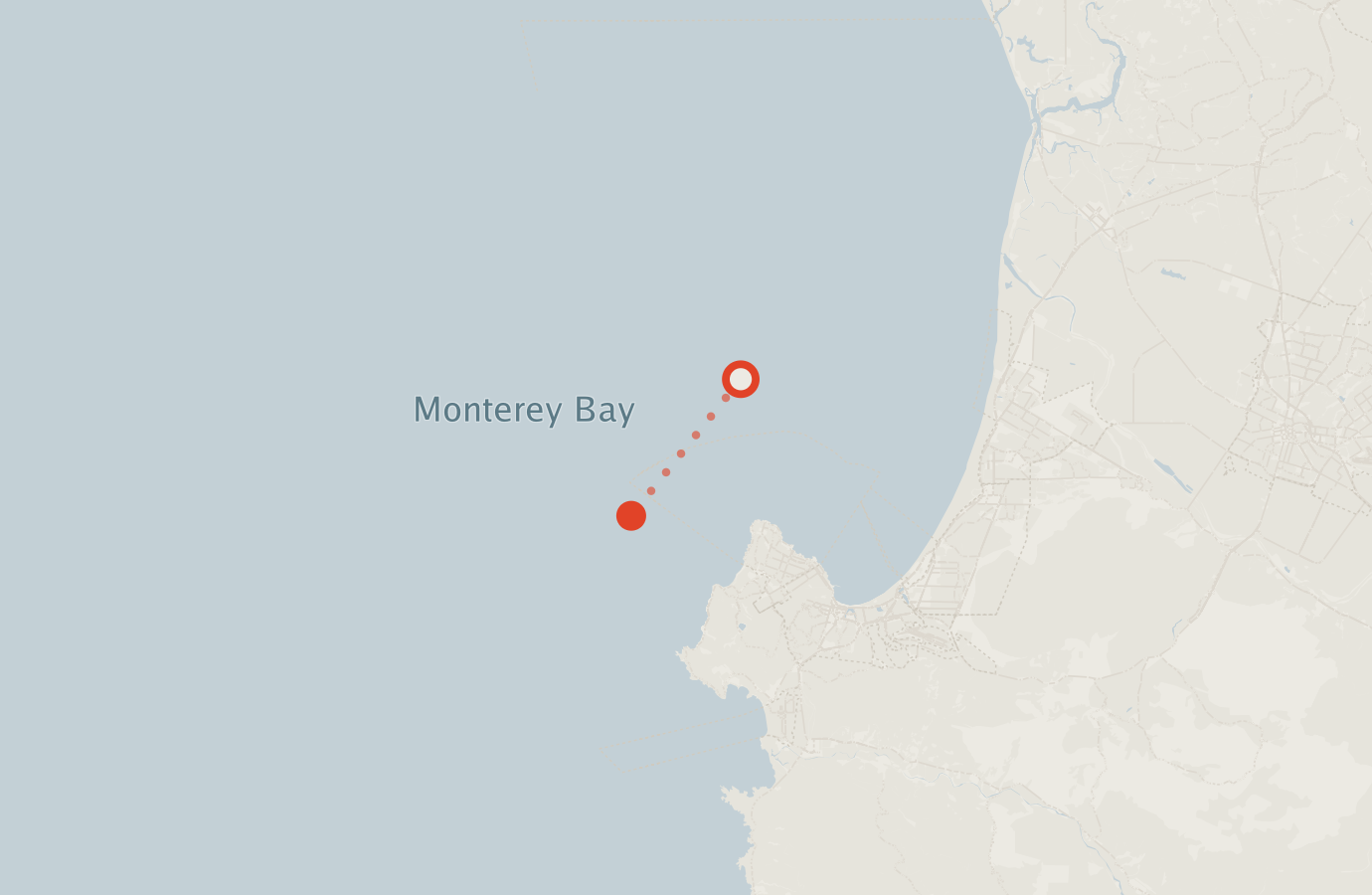 Activity map — real sighting points on an OpenStreetMap basemap