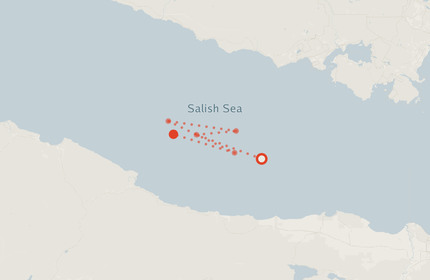 Activity map — real sighting points on an OpenStreetMap basemap