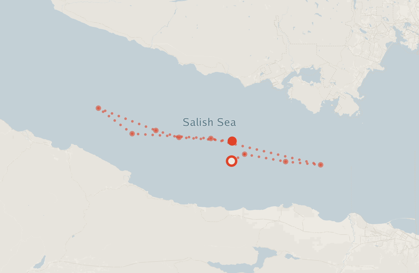 Activity map — real sighting points on an OpenStreetMap basemap