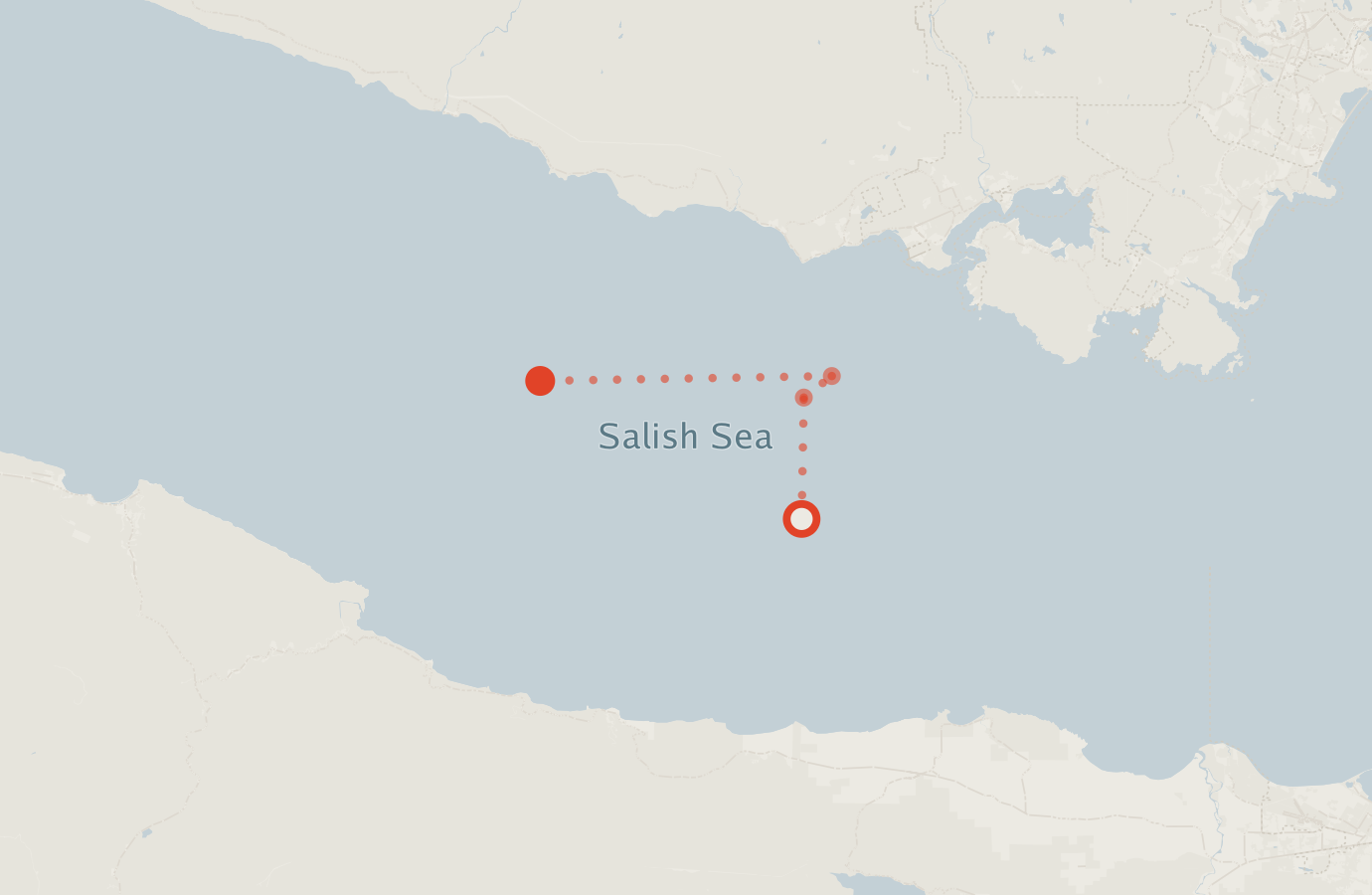 Activity map — real sighting points on an OpenStreetMap basemap