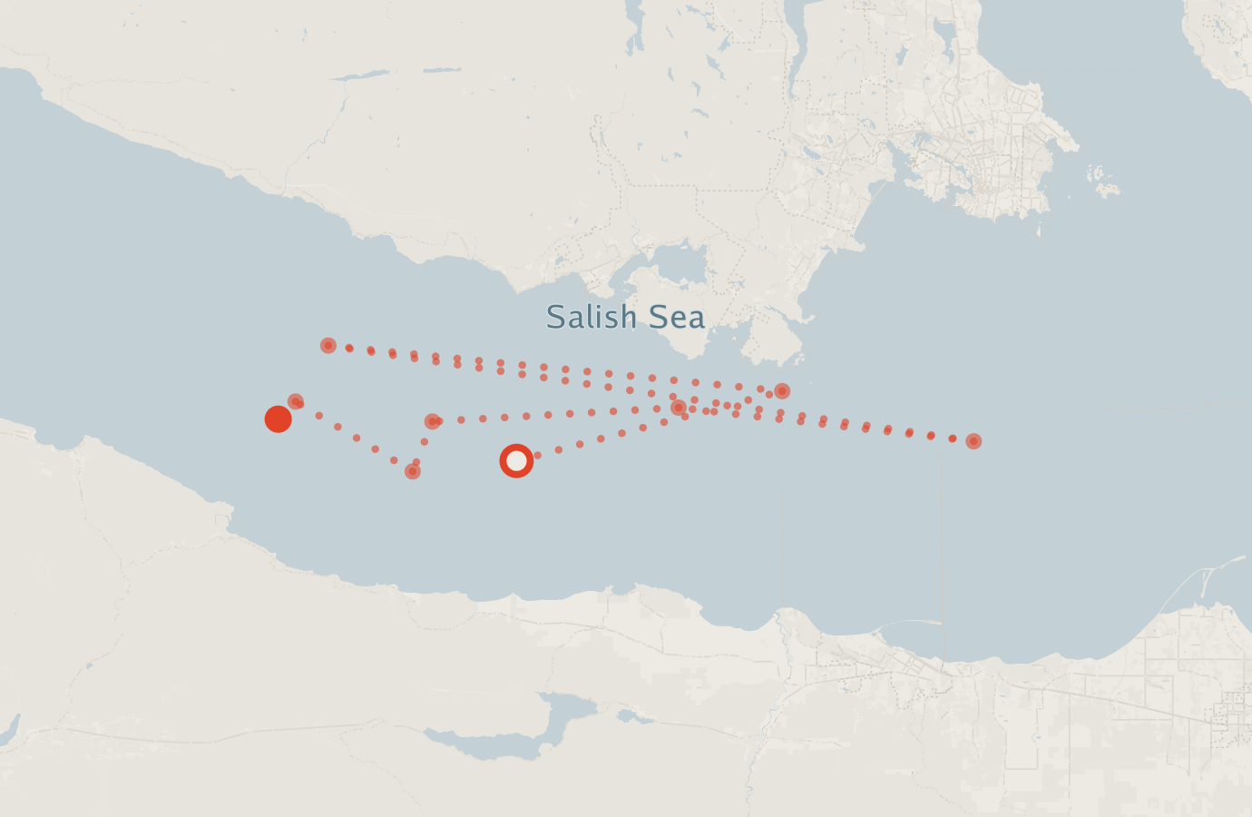 Activity map — real sighting points on an OpenStreetMap basemap