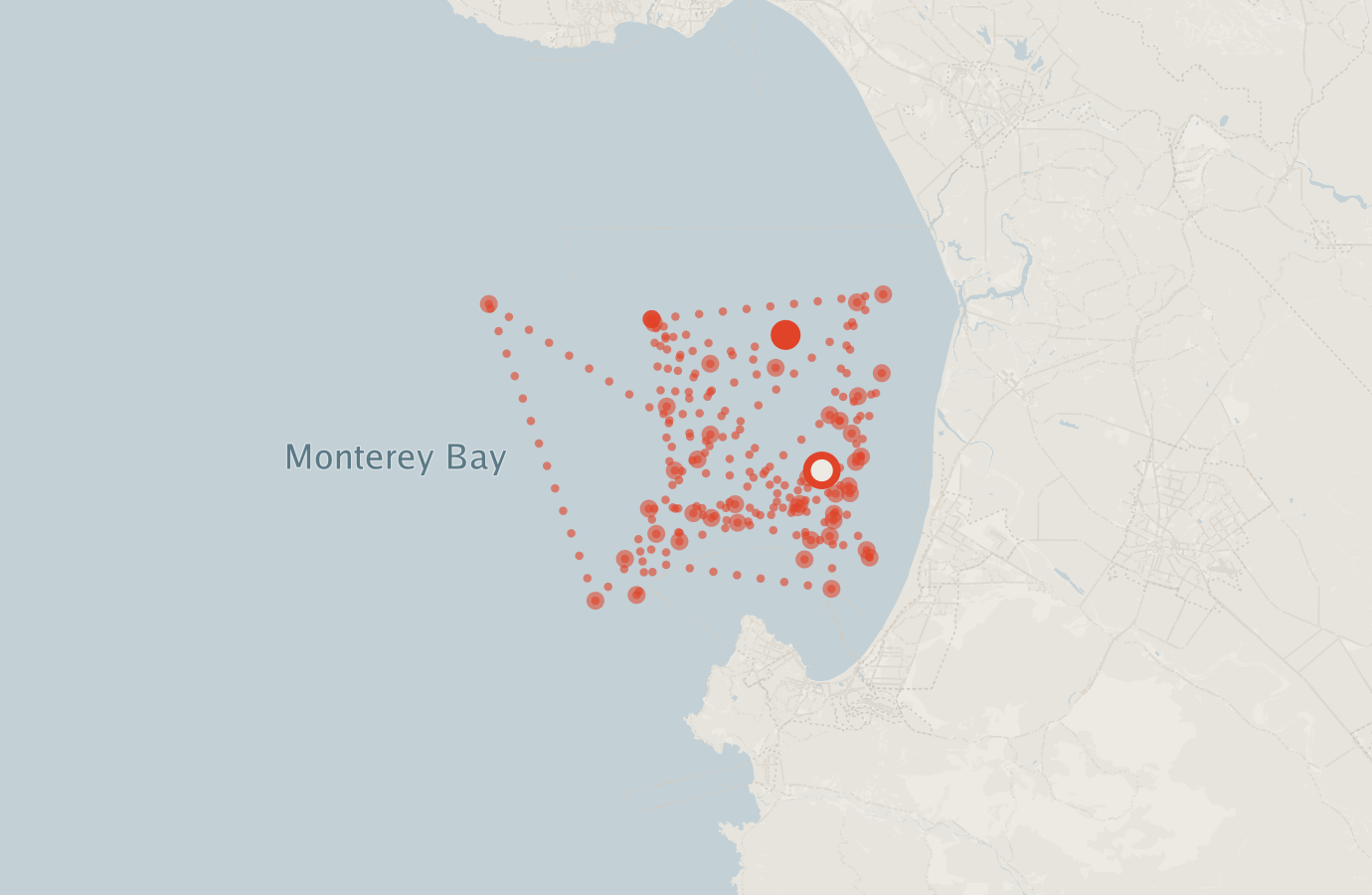 Activity map — real sighting points on an OpenStreetMap basemap
