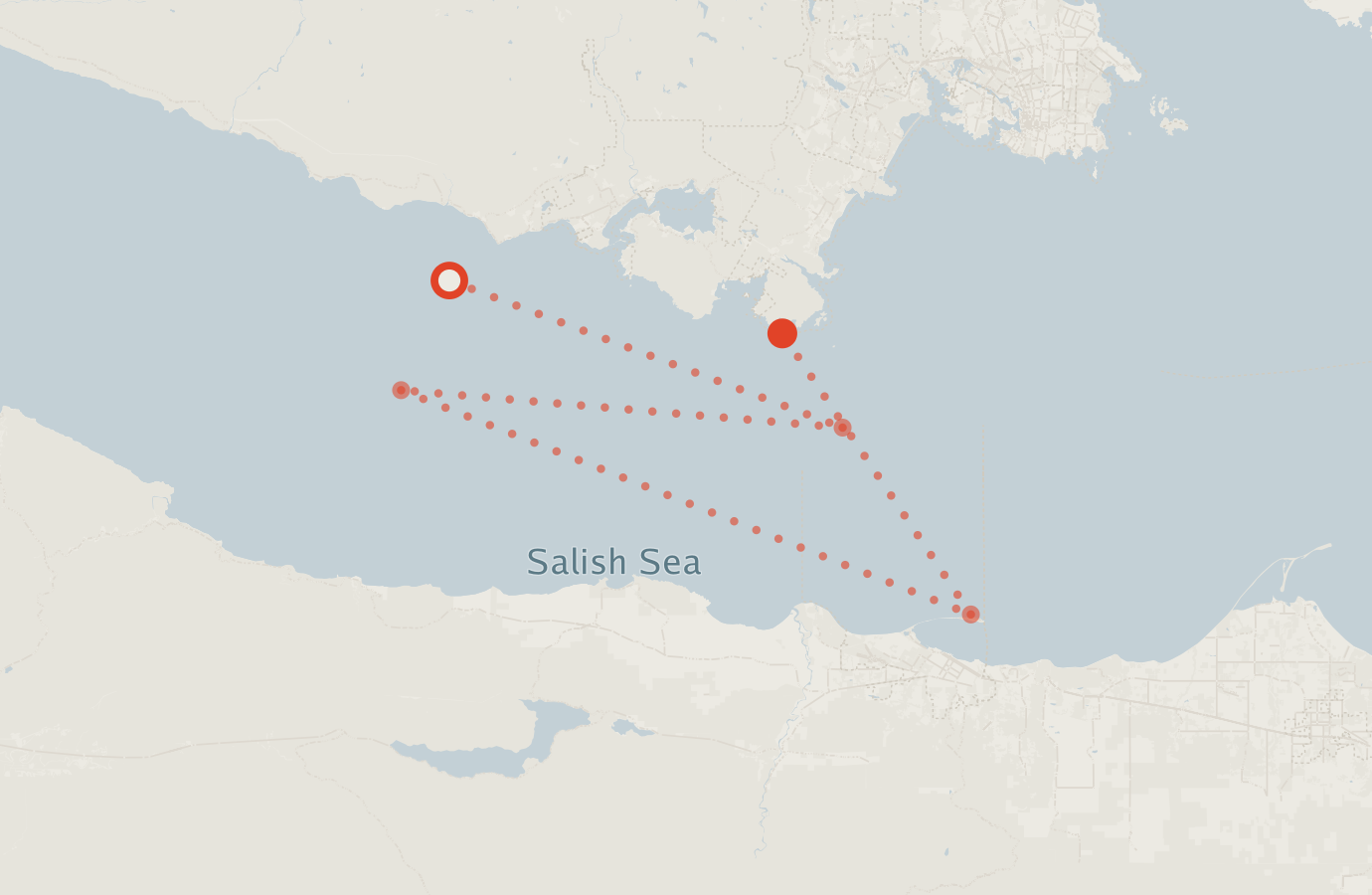 Activity map — real sighting points on an OpenStreetMap basemap