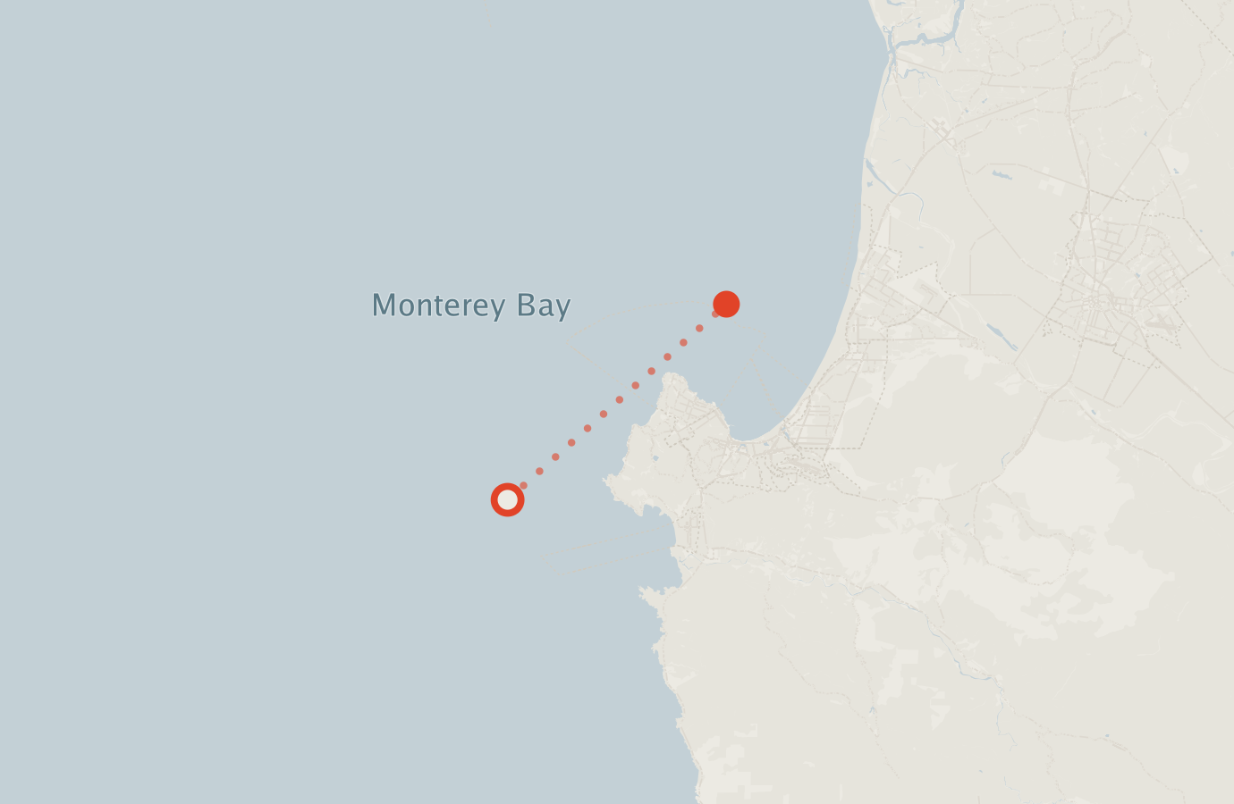 Activity map — real sighting points on an OpenStreetMap basemap