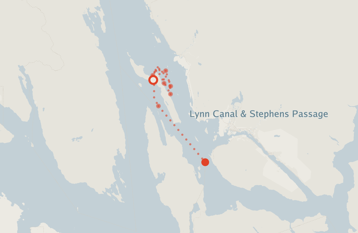 Activity map — real sighting points on an OpenStreetMap basemap