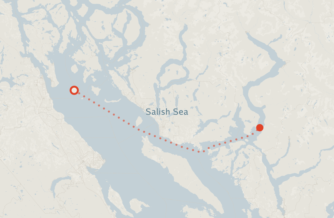Activity map — real sighting points on an OpenStreetMap basemap