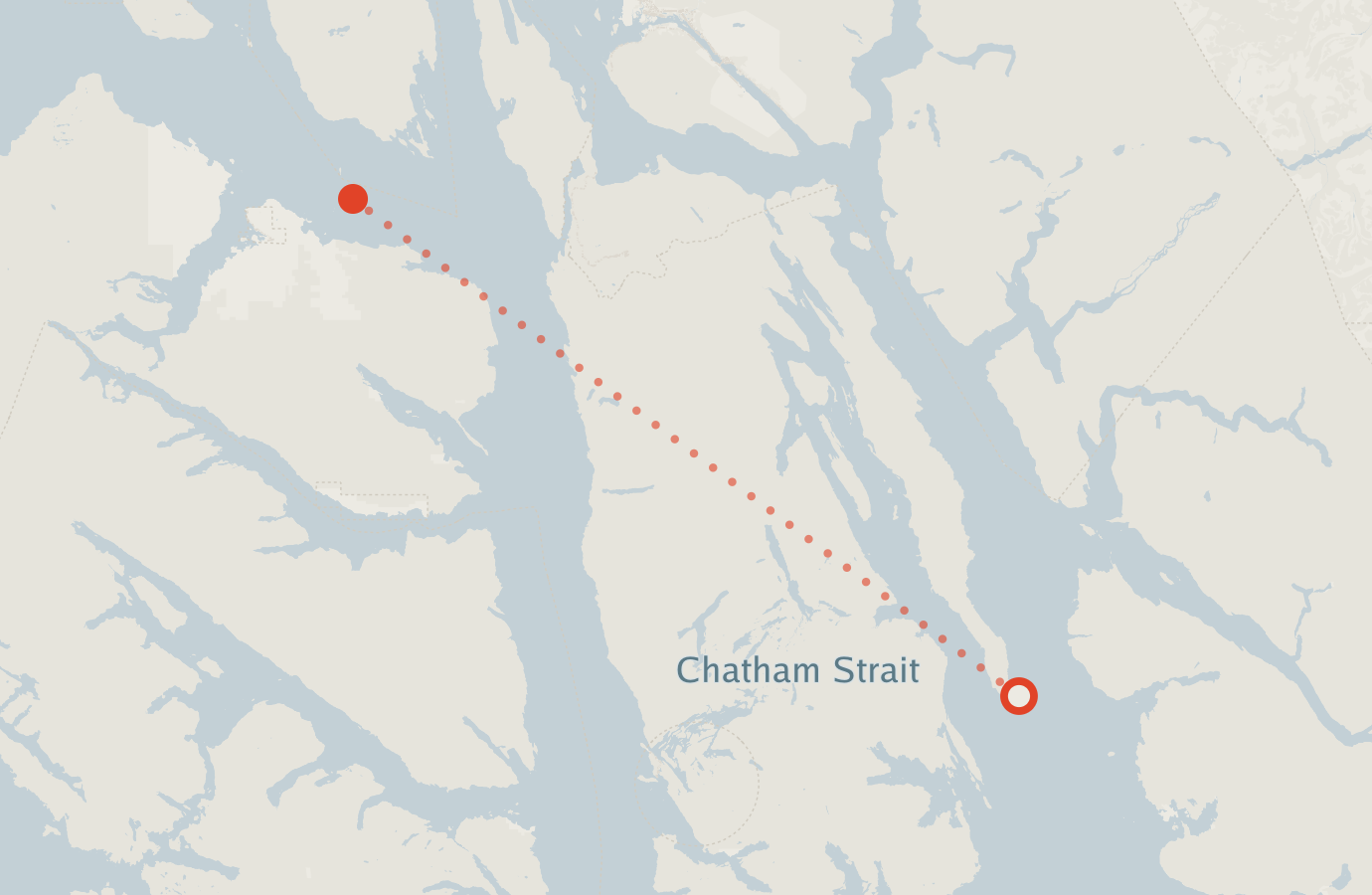 Activity map — real sighting points on an OpenStreetMap basemap