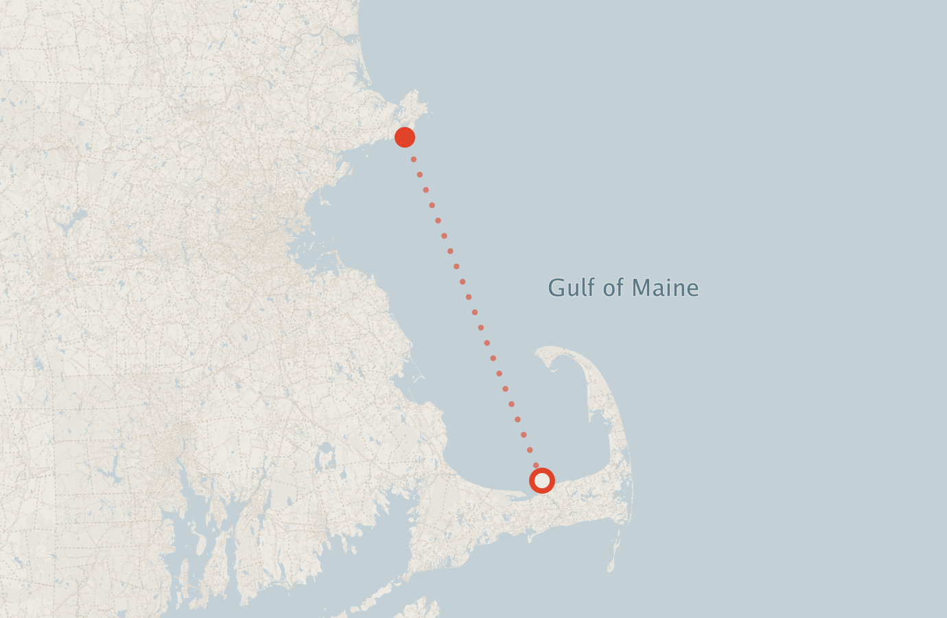 Activity map — real sighting points on an OpenStreetMap basemap